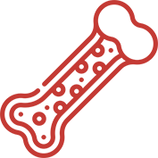 Ícone Curso 2